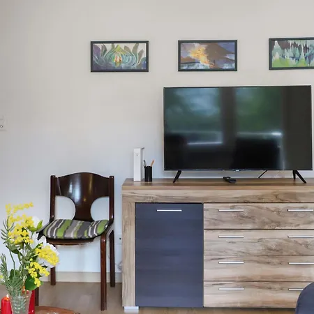 아파트 Allod Park Haus C 301 By Interhome 다보스